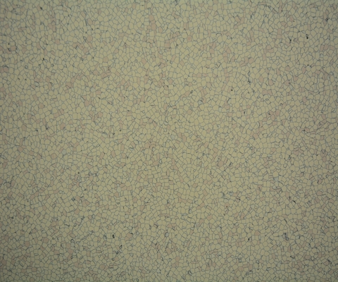 Water Proof 3mm Anti Static Conductive Anti Slip Vinyl Flooring Tiles OEM Available