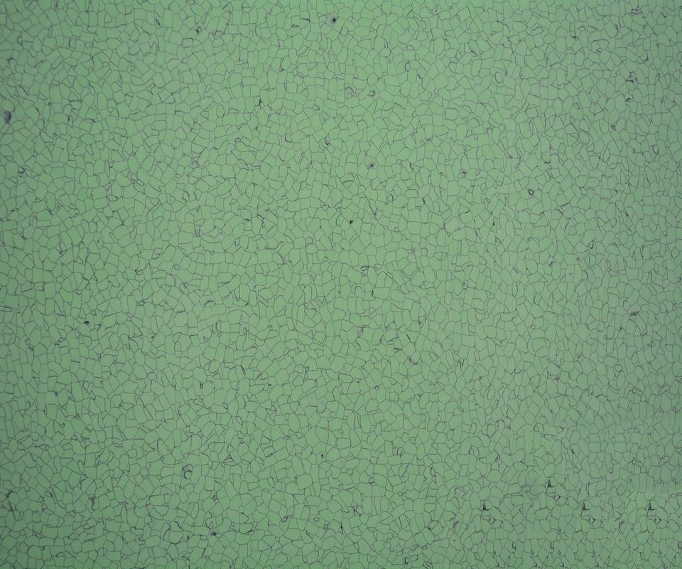 Water Proof 3mm Anti Static Conductive Anti Slip Vinyl Flooring Tiles OEM Available